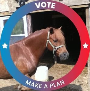 Meet your Posher, Sandy